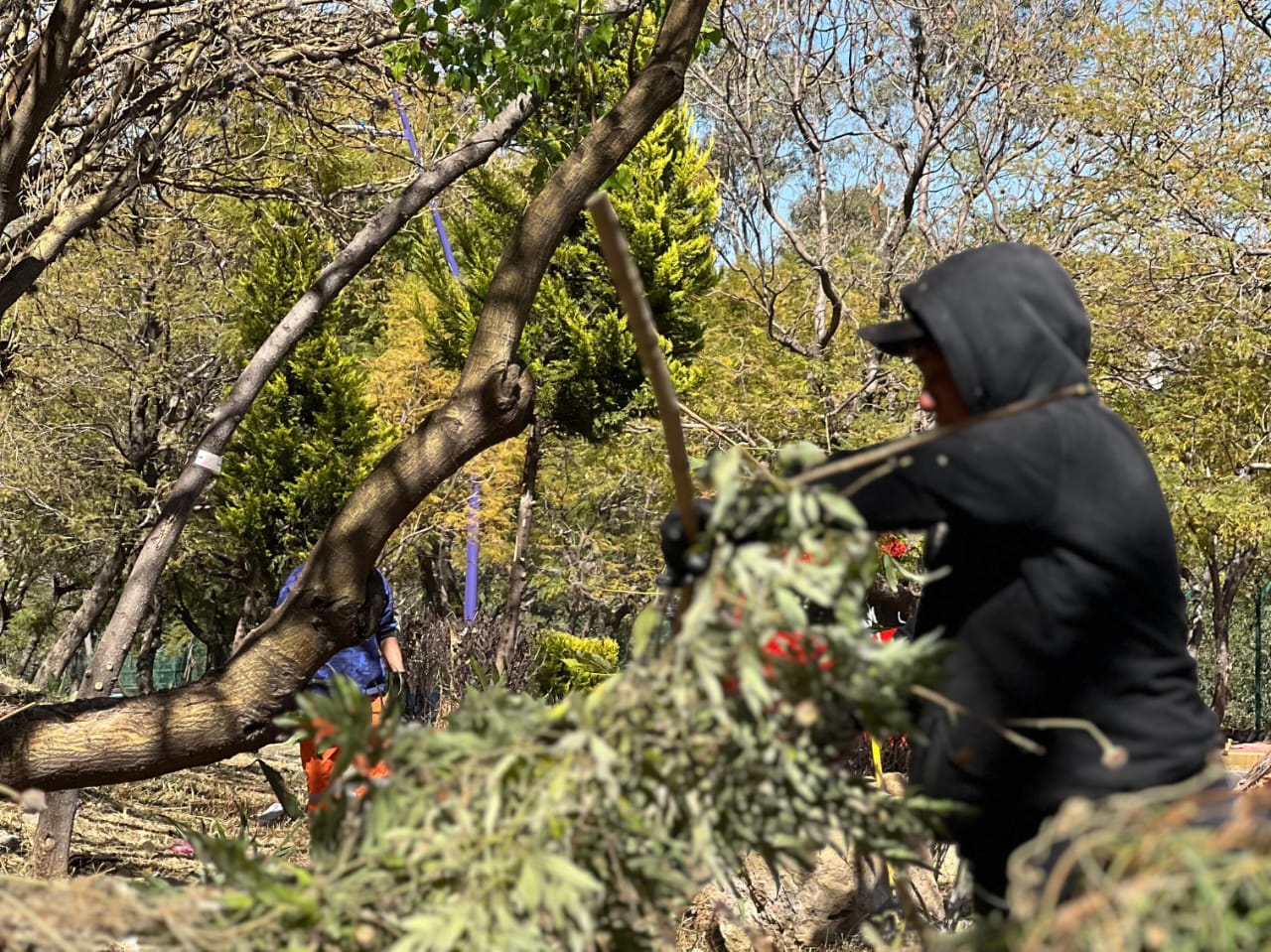 Poda y limpia Ayuntamiento de Tlaxcala AV Puebla para recibir mejor al turismo